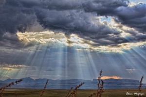 Rays of Light (2)      